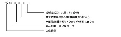 HCFK-450V-60A-型号.jpg
